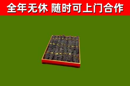 诸暨回收海参